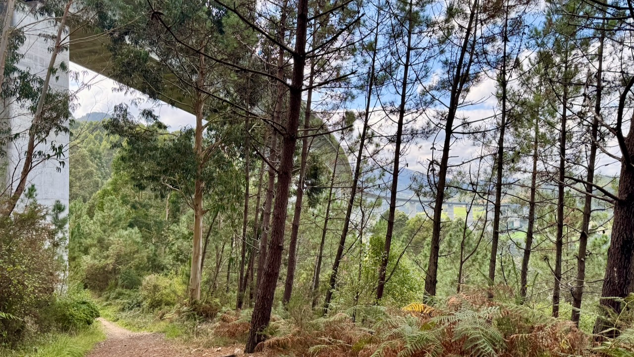 19 Etappe Salinas - Soto de Luina