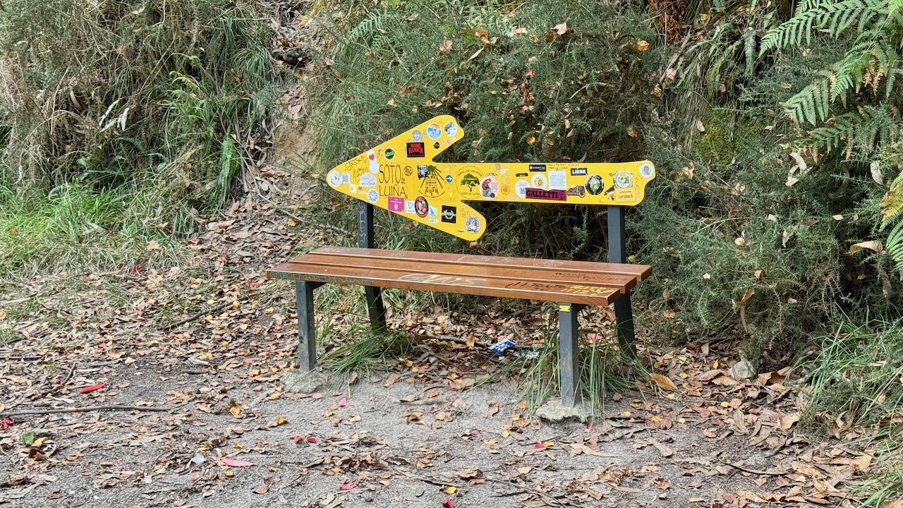 19 Etappe Salinas - Soto de Luina