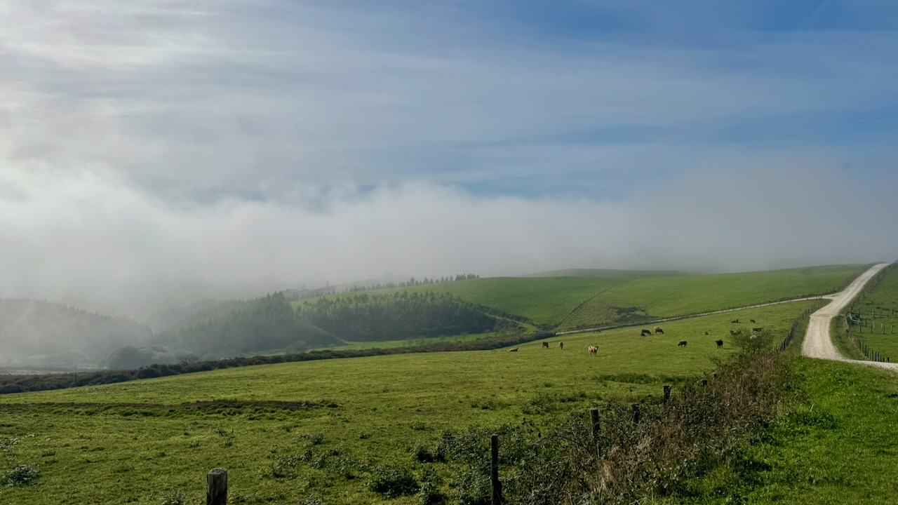 24 Etappe Lourenza - As Paredes