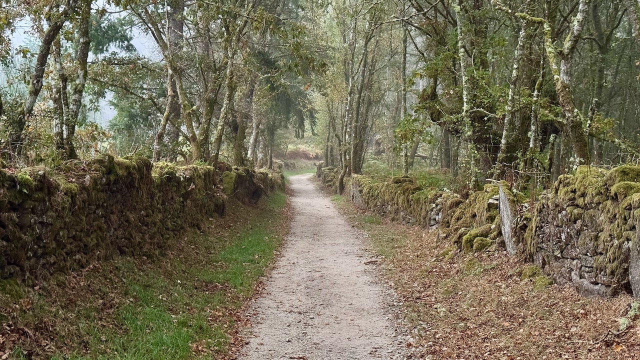 26 Etappe Baamonde - Sobrado