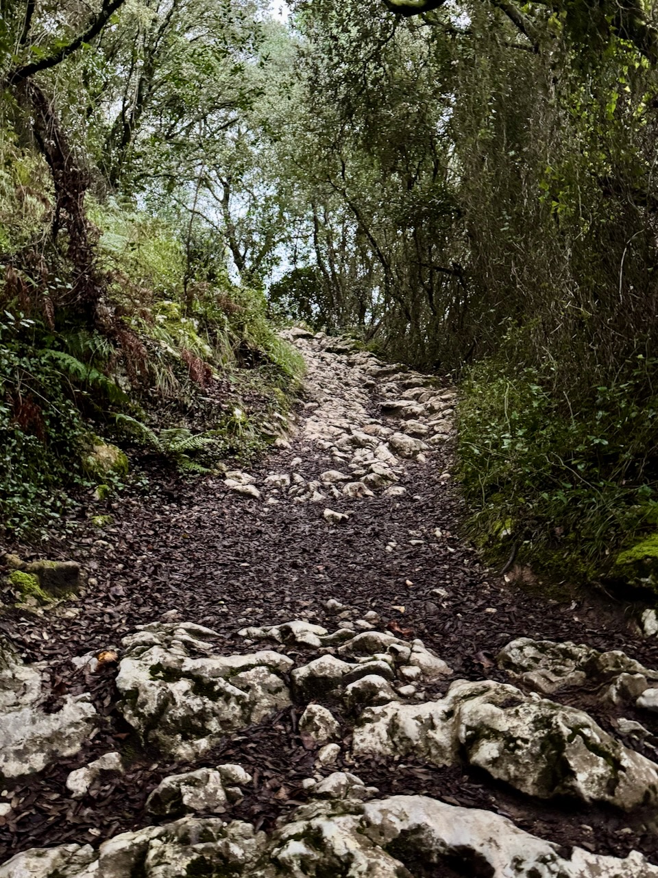 4 Etappe Mutriku - Zenaruzza Monastery