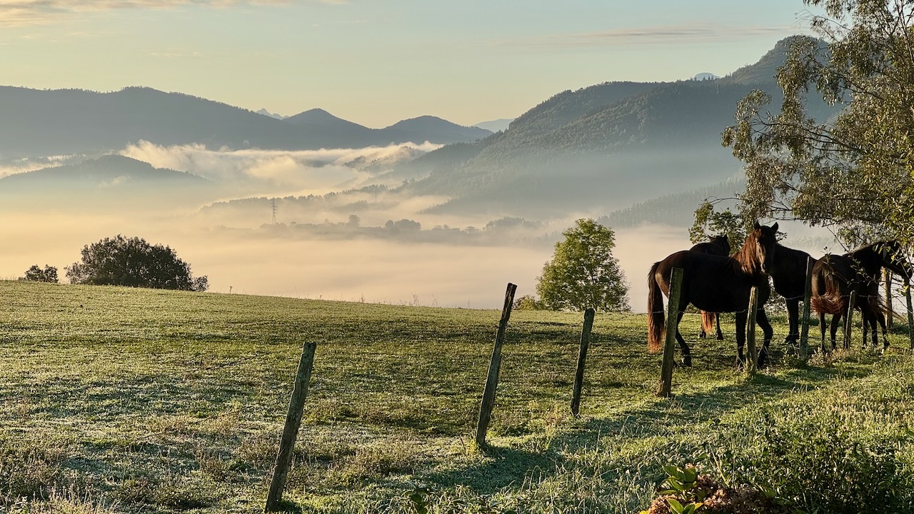 6 Etappe Gernika - Bilbao