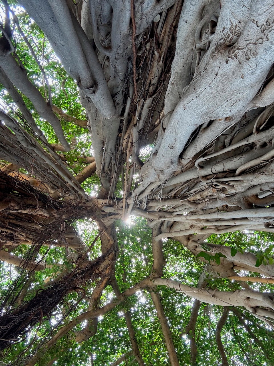 Hawaii – Teil 1: O‘ahu – die Allrounder-Insel